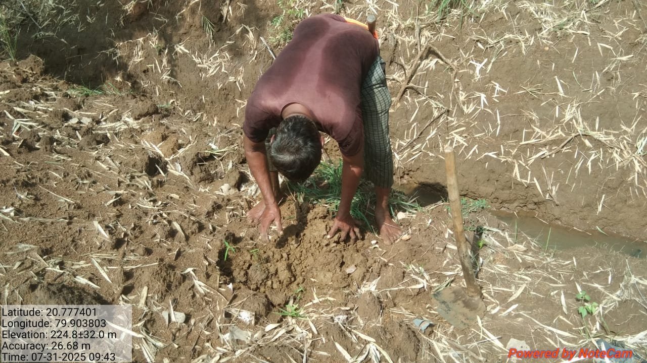 सांडपाणी व्यवस्थापन