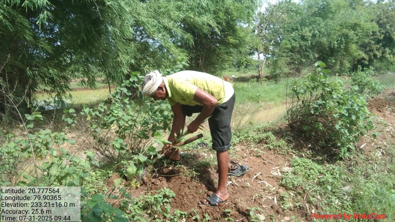 शालेय विद्यार्थी