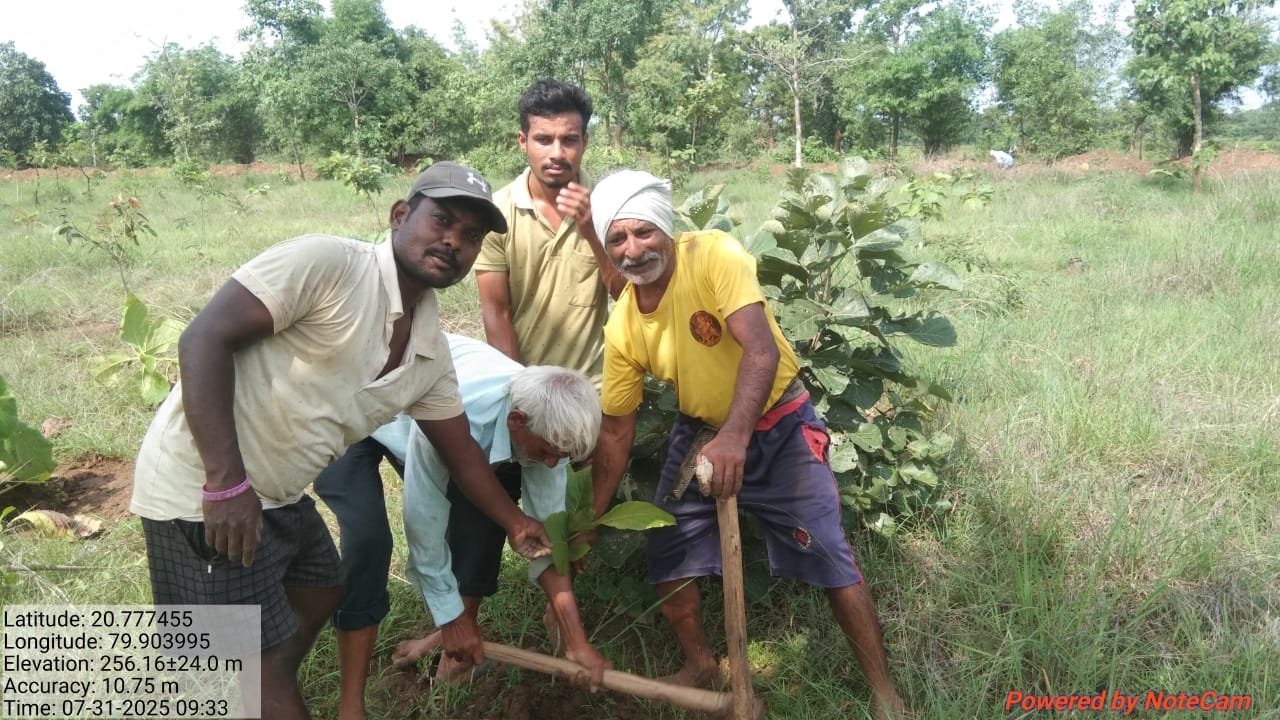 हर घर तिरंगा अभियान